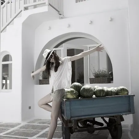 Hotel Terra Maria 3*